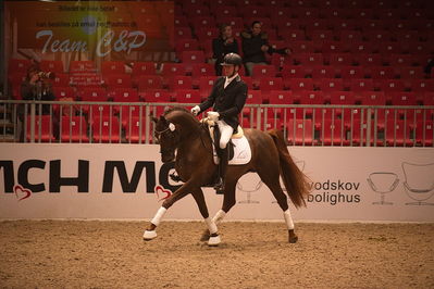 Dansk varmblod hingstekåring.
4års hingste præsentation
Nøgleord: duke;jan møller Christensen