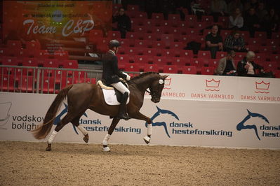 Dansk varmblod hingstekåring.
4års hingste præsentation
Nøgleord: duke;jan møller Christensen