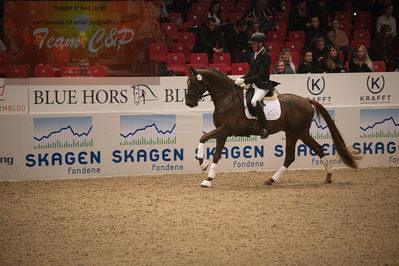 Dansk varmblod hingstekåring.
4års hingste præsentation
Nøgleord: duke;jan møller Christensen