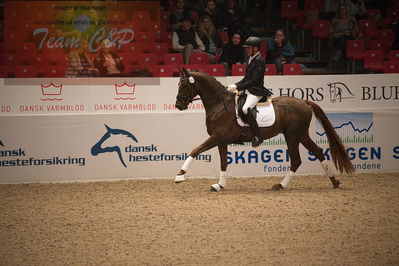 Dansk varmblod hingstekåring.
4års hingste præsentation
Nøgleord: duke;jan møller Christensen