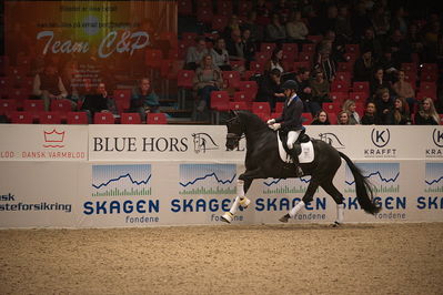 Dansk varmblod hingstekåring.
4års hingste præsentation
Nøgleord: blue hors zackorado