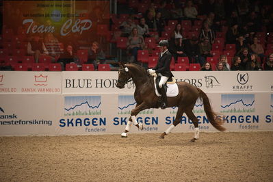 Dansk varmblod hingstekåring.
4års hingste præsentation
Nøgleord: duke;jan møller Christensen