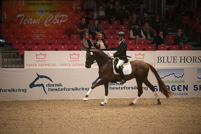 Dansk varmblod hingstekåring.
4års hingste præsentation
Nøgleord: duke;jan møller Christensen