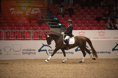 Dansk varmblod hingstekåring.
4års hingste præsentation
Nøgleord: duke;jan møller Christensen