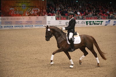 Dansk varmblod hingstekåring.
4års hingste præsentation
Nøgleord: duke;jan møller Christensen