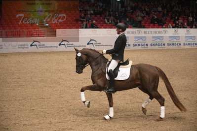 Dansk varmblod hingstekåring.
4års hingste præsentation
Nøgleord: duke;jan møller Christensen