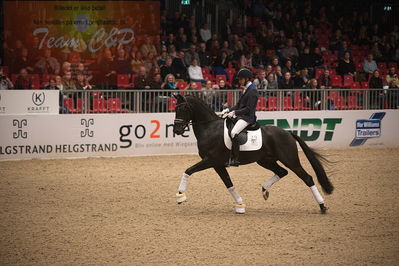 Dansk varmblod hingstekåring.
4års hingste præsentation
Nøgleord: blue hors zackorado