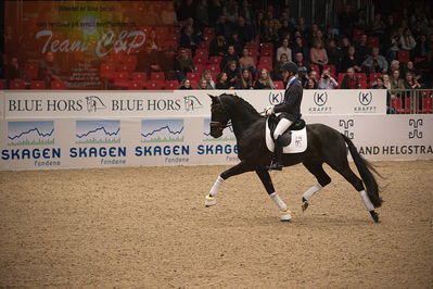 Dansk varmblod hingstekåring.
4års hingste præsentation
Nøgleord: blue hors zackorado