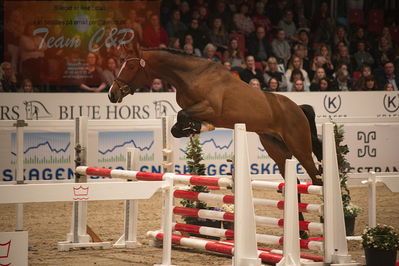 Dansk varmblod hingstekåring.
løssprngning 3års
Nøgleord: go for love