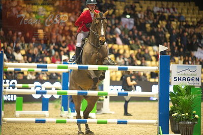 Dansk varmblod hingstekåring.
Skibby hc big tour 150cm
Nøgleord: kamilla ladefoged rasmussen;quajongen z