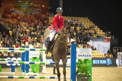 Dansk varmblod hingstekåring.
Skibby hc big tour 150cm
Nøgleord: kamilla ladefoged rasmussen;quajongen z