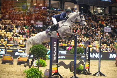 Dansk varmblod hingstekåring.
Skibby hc big tour 150cm
Nøgleord: jack ray nielsen;gerdings  carrie