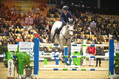 Dansk varmblod hingstekåring.
Skibby hc big tour 150cm
Nøgleord: jack ray nielsen;gerdings  carrie