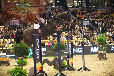 Dansk varmblod hingstekåring.
Skibby hc big tour 150cm
Nøgleord: bart van der maat;chicago 142