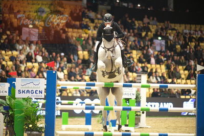 Dansk varmblod hingstekåring.
Skibby hc big tour 150cm
Nøgleord: rolf-goren bengtsson;emir r