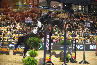 Dansk varmblod hingstekåring.
Skibby hc big tour 150cm
Nøgleord: alex david gill;goldenstar