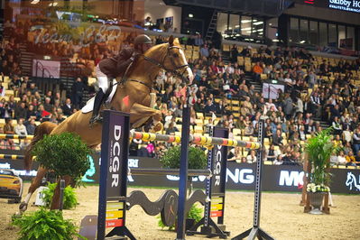 Dansk varmblod hingstekåring.
Skibby hc big tour 150cm
Nøgleord: fredrik b seim;qevara van de vlierbeek z