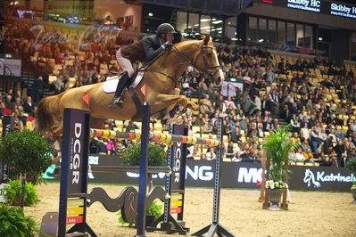 Dansk varmblod hingstekåring.
Skibby hc big tour 150cm
Nøgleord: fredrik b seim;qevara van de vlierbeek z