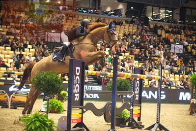 Dansk varmblod hingstekåring.
Skibby hc big tour 150cm
Nøgleord: janella larsson;staralme esc z