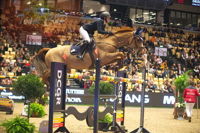 Dansk varmblod hingstekåring.
Skibby hc big tour 150cm
Nøgleord: janella larsson;staralme esc z