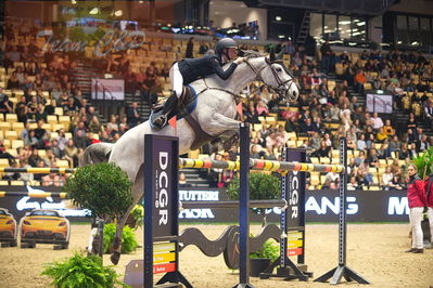 Dansk varmblod hingstekåring.
Skibby hc big tour 150cm
Nøgleord: nellie berntsson;cornet's baloufree