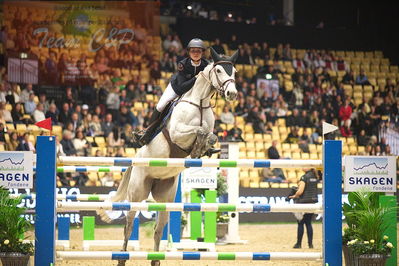 Dansk varmblod hingstekåring.
Skibby hc big tour 150cm
Nøgleord: nellie berntsson;cornet's baloufree