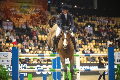 Dansk varmblod hingstekåring.
Skibby hc big tour 150cm
Nøgleord: therese søhol henriksen;halifax van de conynenberg