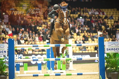 Dansk varmblod hingstekåring.
Skibby hc big tour 150cm
Nøgleord: torben frandsen;ferdinand 273