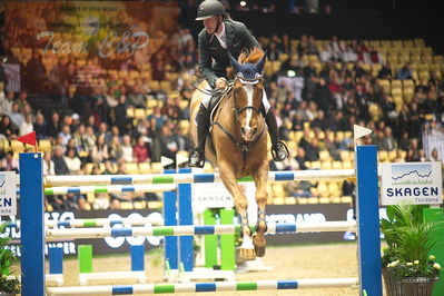 Dansk varmblod hingstekåring.
Skibby hc big tour 150cm
Nøgleord: torben frandsen;ferdinand 273