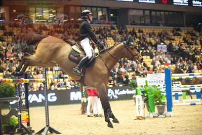 Dansk varmblod hingstekåring.
Skibby hc big tour 150cm
Nøgleord: zascha nygaard andreasen;just cute b