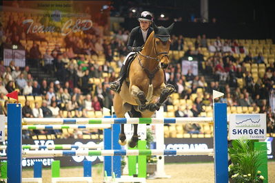 Dansk varmblod hingstekåring.
Skibby hc big tour 150cm
Nøgleord: zascha nygaard andreasen;just cute b