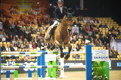 Dansk varmblod hingstekåring.
Skibby hc big tour 150cm
Nøgleord: zascha nygaard andreasen;just cute b