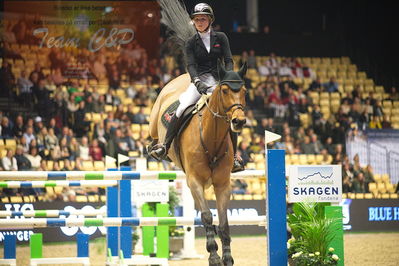 Dansk varmblod hingstekåring.
Skibby hc big tour 150cm
Nøgleord: zascha nygaard andreasen;just cute b