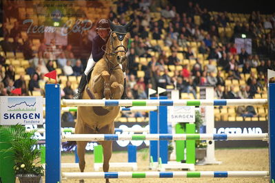 Dansk varmblod hingstekåring.
Skibby hc big tour 150cm
Nøgleord: rikke andersen;lucky number slevin 3