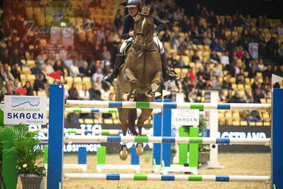 Dansk varmblod hingstekåring.
Skibby hc big tour 150cm
Nøgleord: mel thijssen;gaudi