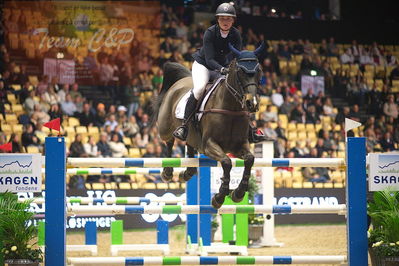 Dansk varmblod hingstekåring.
Skibby hc big tour 150cm
Nøgleord: sofie slattery;valentine du bois pinchet