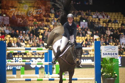 Dansk varmblod hingstekåring.
Skibby hc big tour 150cm
Nøgleord: sofie slattery;valentine du bois pinchet