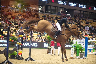 Dansk varmblod hingstekåring.
Skibby hc big tour 150cm
Nøgleord: sara appelqvist;carinosa l s