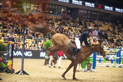 Dansk varmblod hingstekåring.
Skibby hc big tour 150cm
Nøgleord: sara appelqvist;carinosa l s