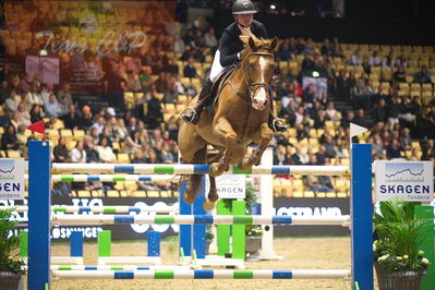 Dansk varmblod hingstekåring.
Skibby hc big tour 150cm
Nøgleord: sara appelqvist;carinosa l s