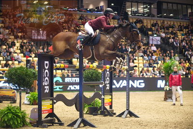Dansk varmblod hingstekåring.
Skibby hc big tour 150cm
Nøgleord: benedikte serigstad endresen;liechen