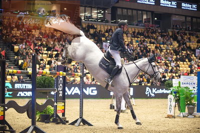 Dansk varmblod hingstekåring.
Skibby hc big tour 150cm
Nøgleord: carsten-otto nagel;l&#039;esperance 2