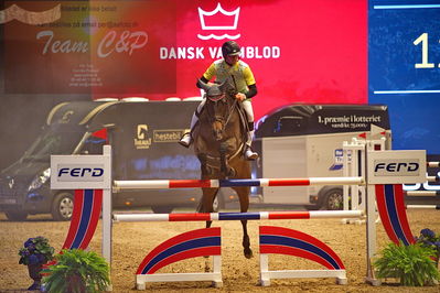 Dansk varmblod hingstekåring.
galashow-kustumespringnin
Nøgleord: gianmarco ferritti;dakota 394