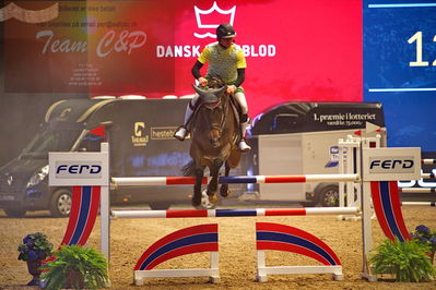 Dansk varmblod hingstekåring.
galashow-kustumespringnin
Nøgleord: gianmarco ferritti;dakota 394