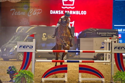 Dansk varmblod hingstekåring.
galashow-kustumespringnin
Nøgleord: josephine bøgh;atlantico 12