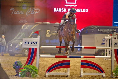 Dansk varmblod hingstekåring.
galashow-kustumespringnin
Nøgleord: josephine bøgh;atlantico 12