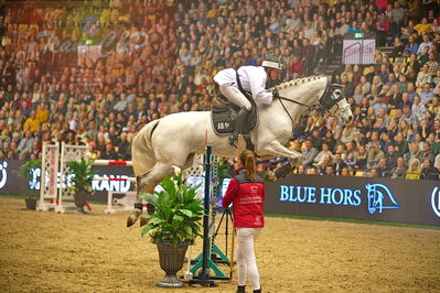 Dansk varmblod hingstekåring.
galashow-kustumespringnin
Nøgleord: georgia timmermann;puge møllers sif