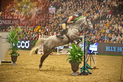 Dansk varmblod hingstekåring.
galashow-kustumespringnin
Nøgleord: stine cassoe jacobsen;cleyton vh