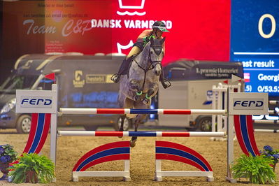 Dansk varmblod hingstekåring.
galashow-kustumespringnin
Nøgleord: stine cassoe jacobsen;cleyton vh