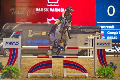 Dansk varmblod hingstekåring.
galashow-kustumespringnin
Nøgleord: stine cassoe jacobsen;cleyton vh